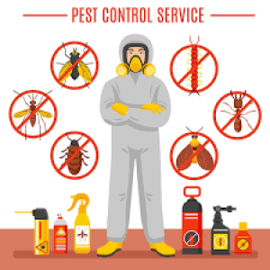 Insect & Wildlife Control Insect & Wildlife Control