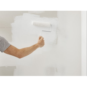 Paints & Coatings Paints & Coatings