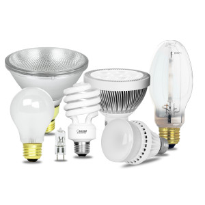 Lighting & Electrical